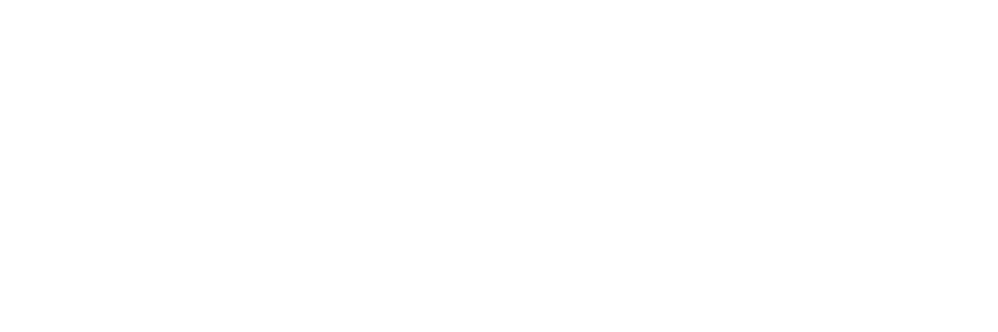 LightChoice logow